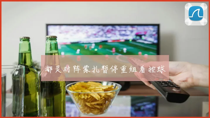都灵对阵蒙扎暂停重组看控球